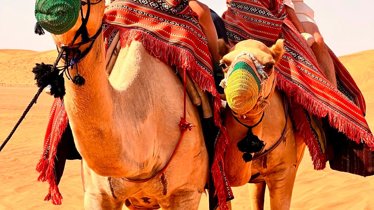 Kids Friendly Morning Desert Safari Dubai: Safety, Baby Seats & Tips