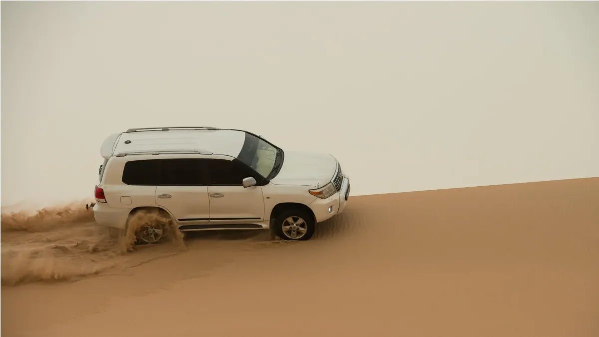 Premium Abu Dhabi Evening Desert Safari in Abu Dhabi | Best Price