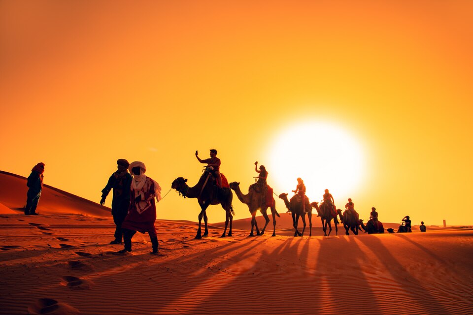 Desert Safari
