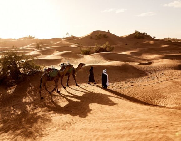 7 Exciting Morning Desert Safaris Dubai Tours for Adventurers
